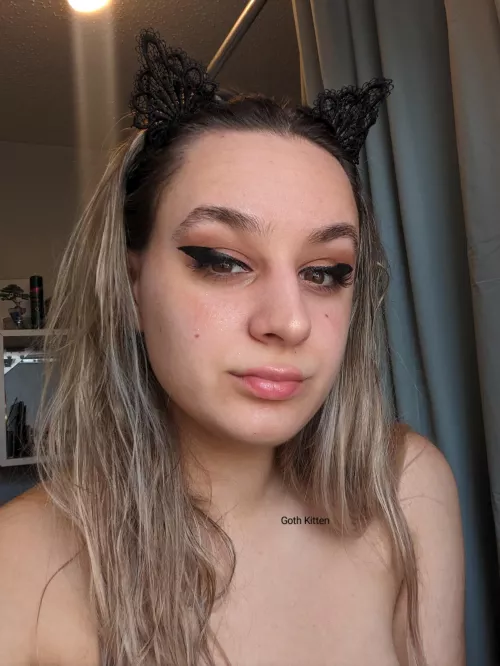 Meow 🤤 link in comments for paid sites 🥵