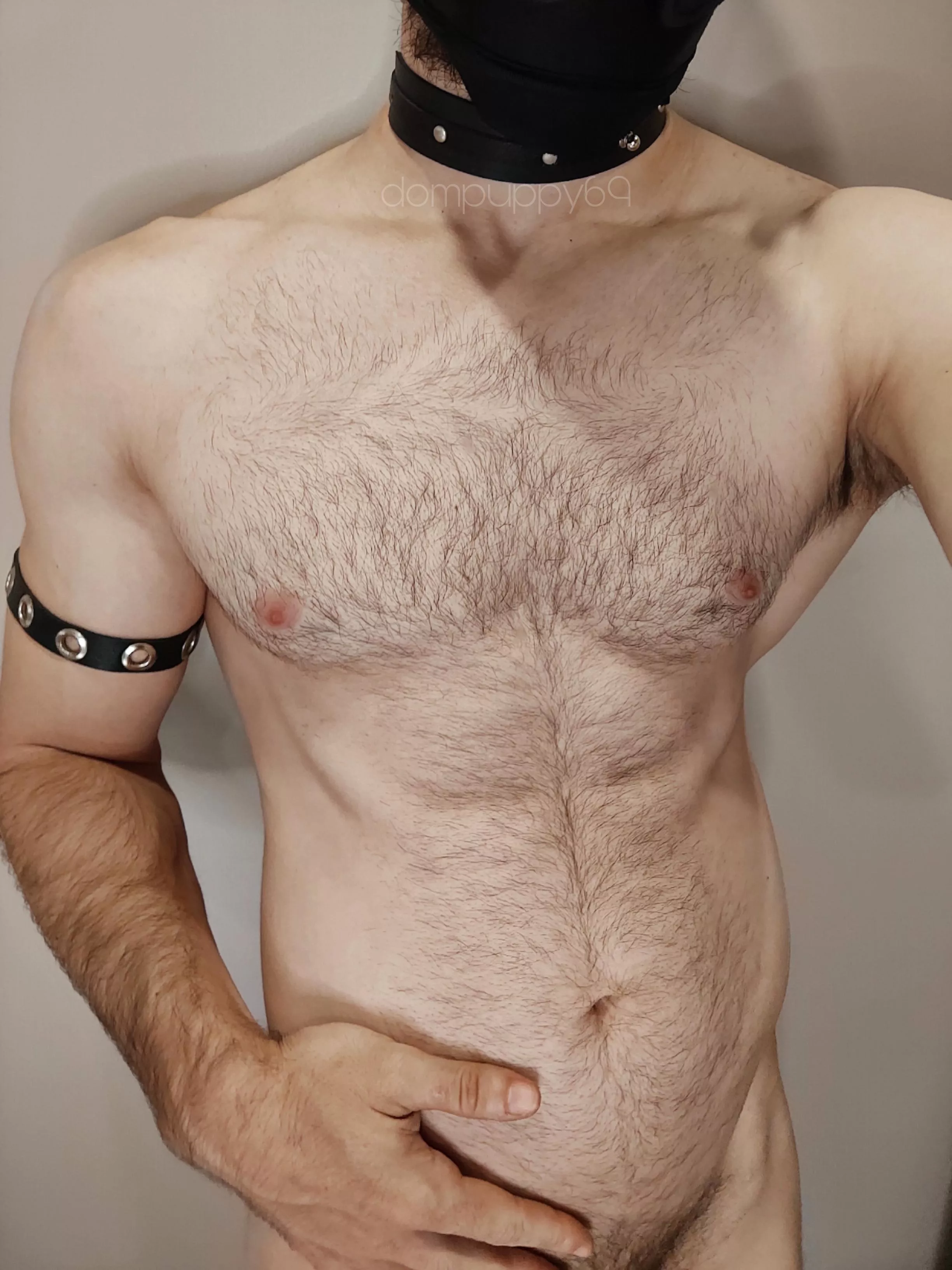 More hair would be better?