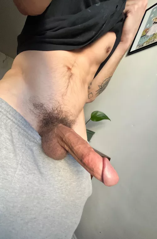 Would you fuck or suck me?