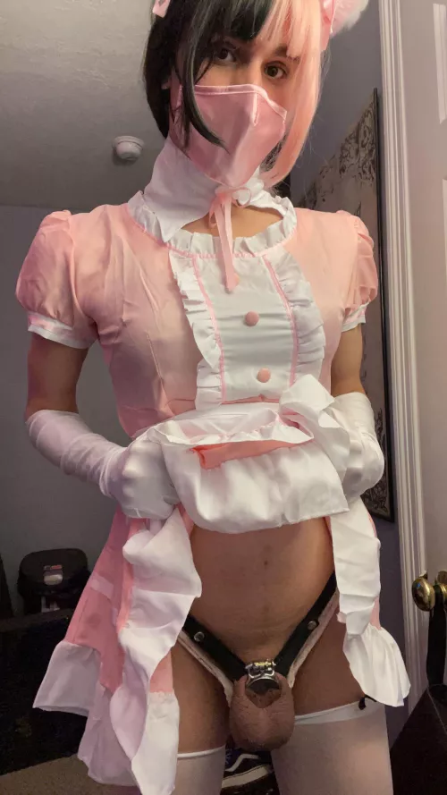 Chastized maidboi<3