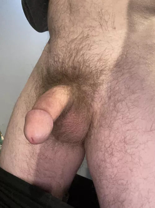 Floppy and hairy