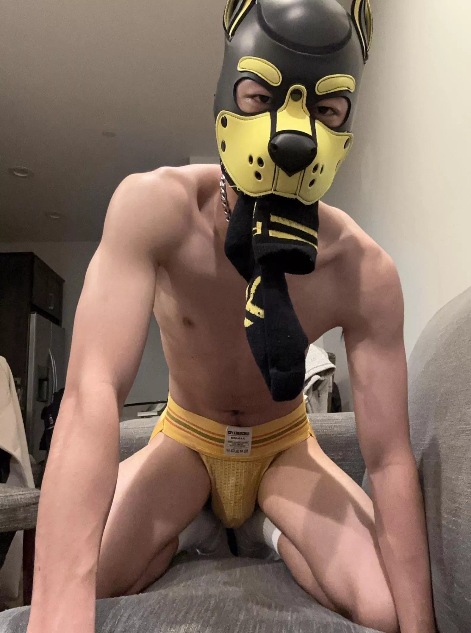 Give me your socks 😡