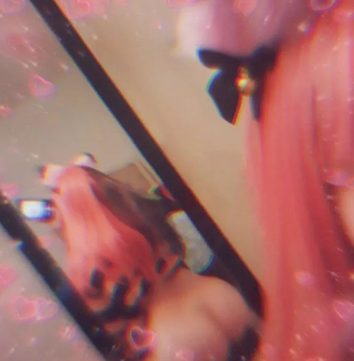 I need an owner 🐱