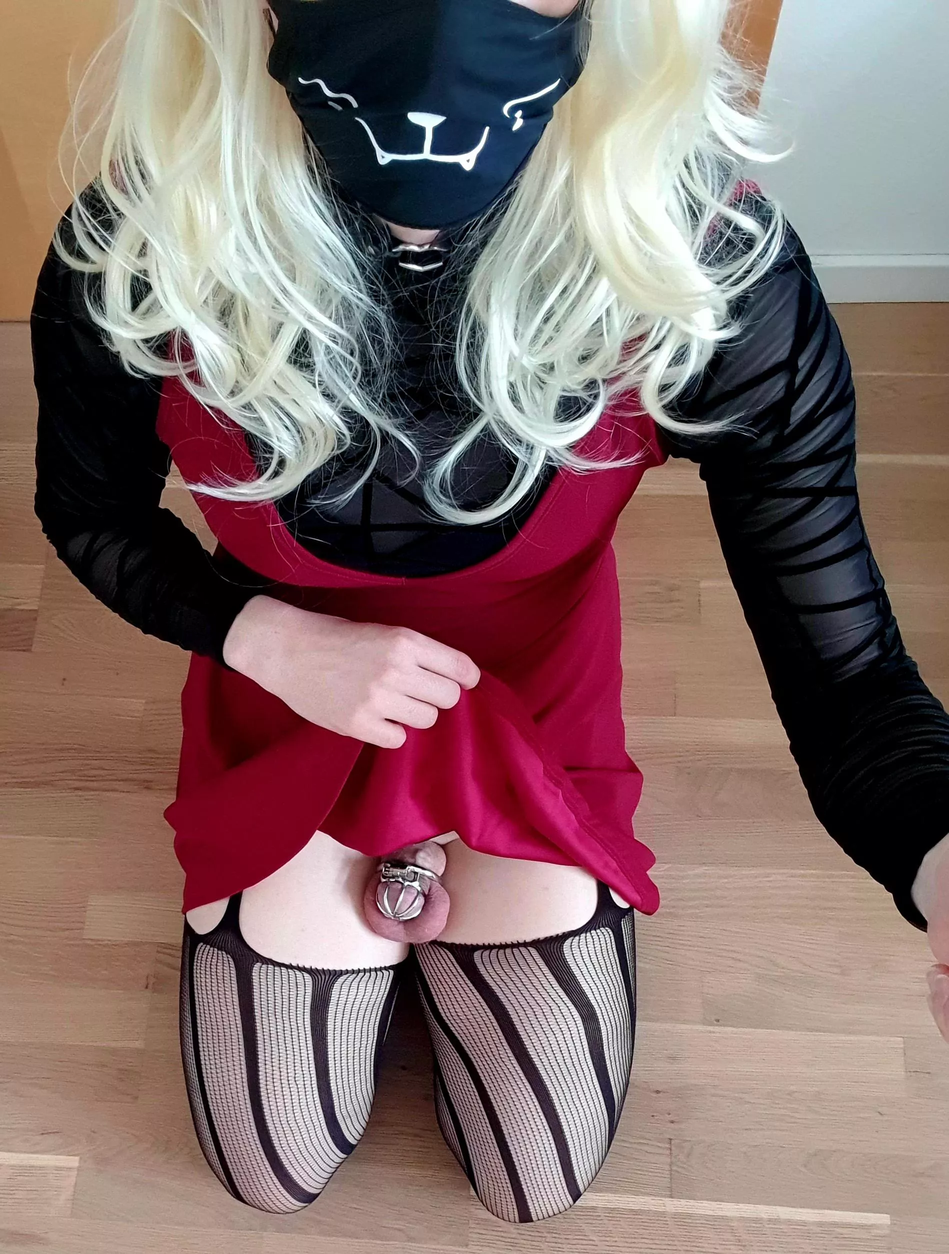 Locked and denied for weeks, should I start milking?