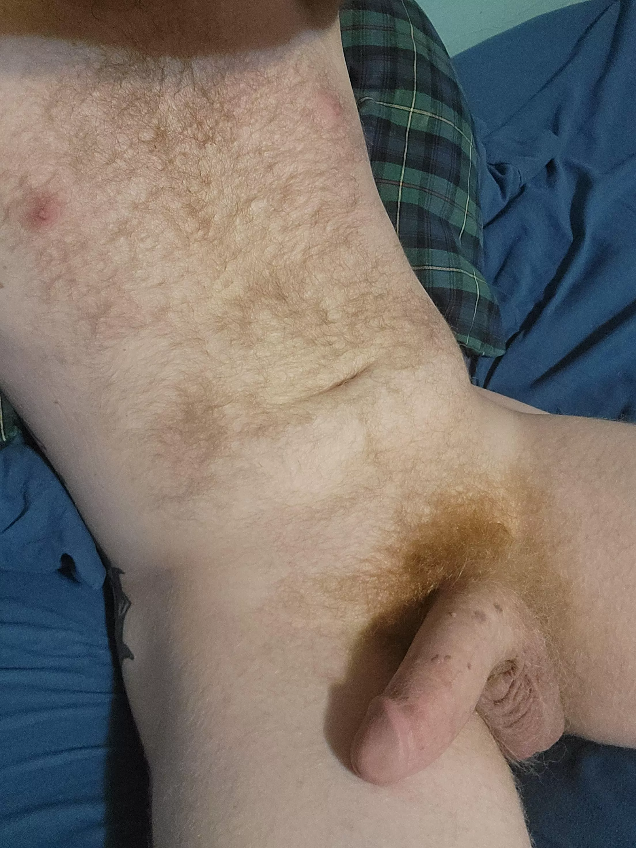 New here, first post.