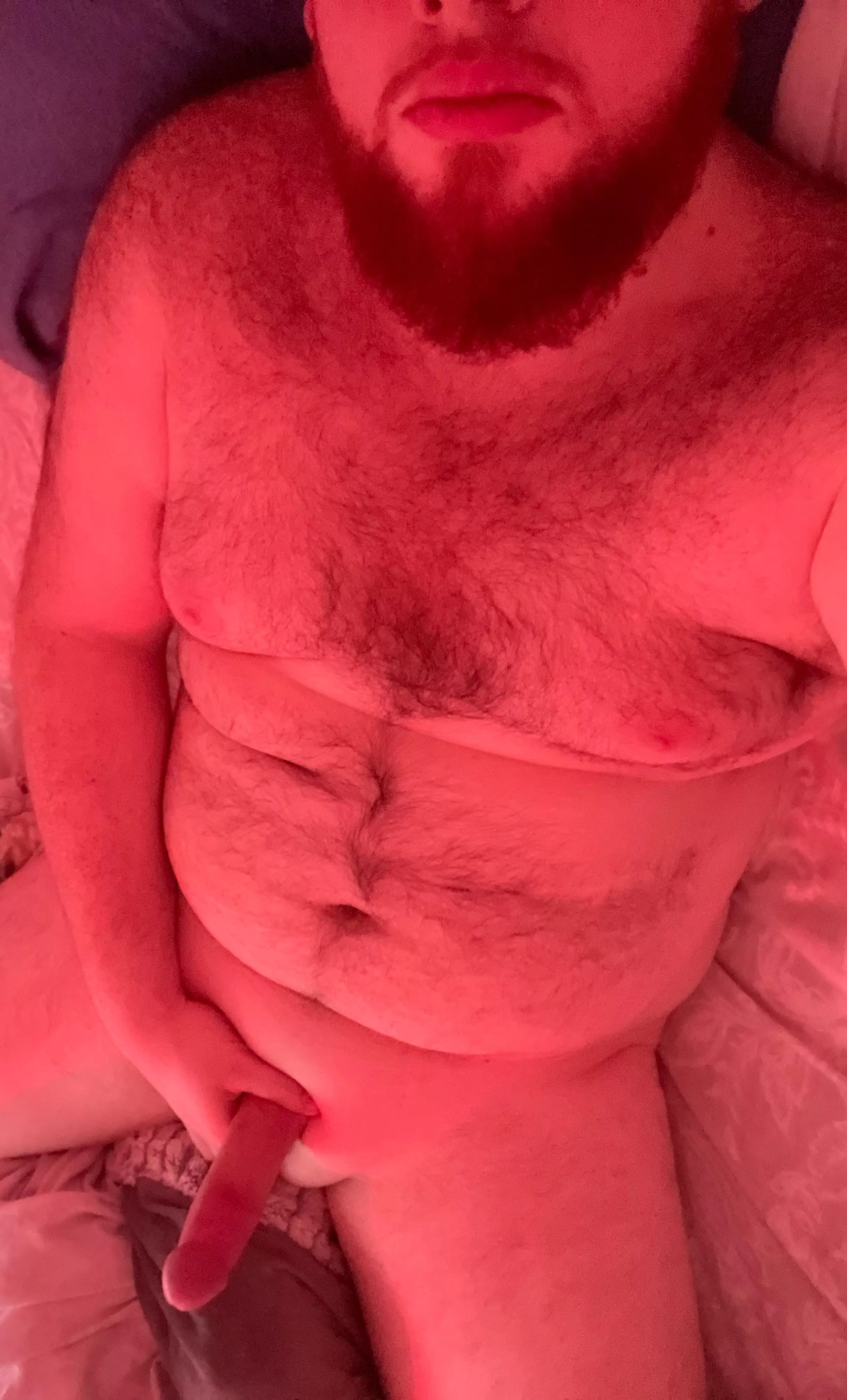 Pick a seat beard or cock ?