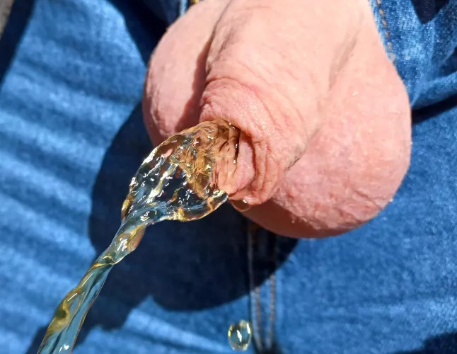 Pissing in the sunshine 🌞
