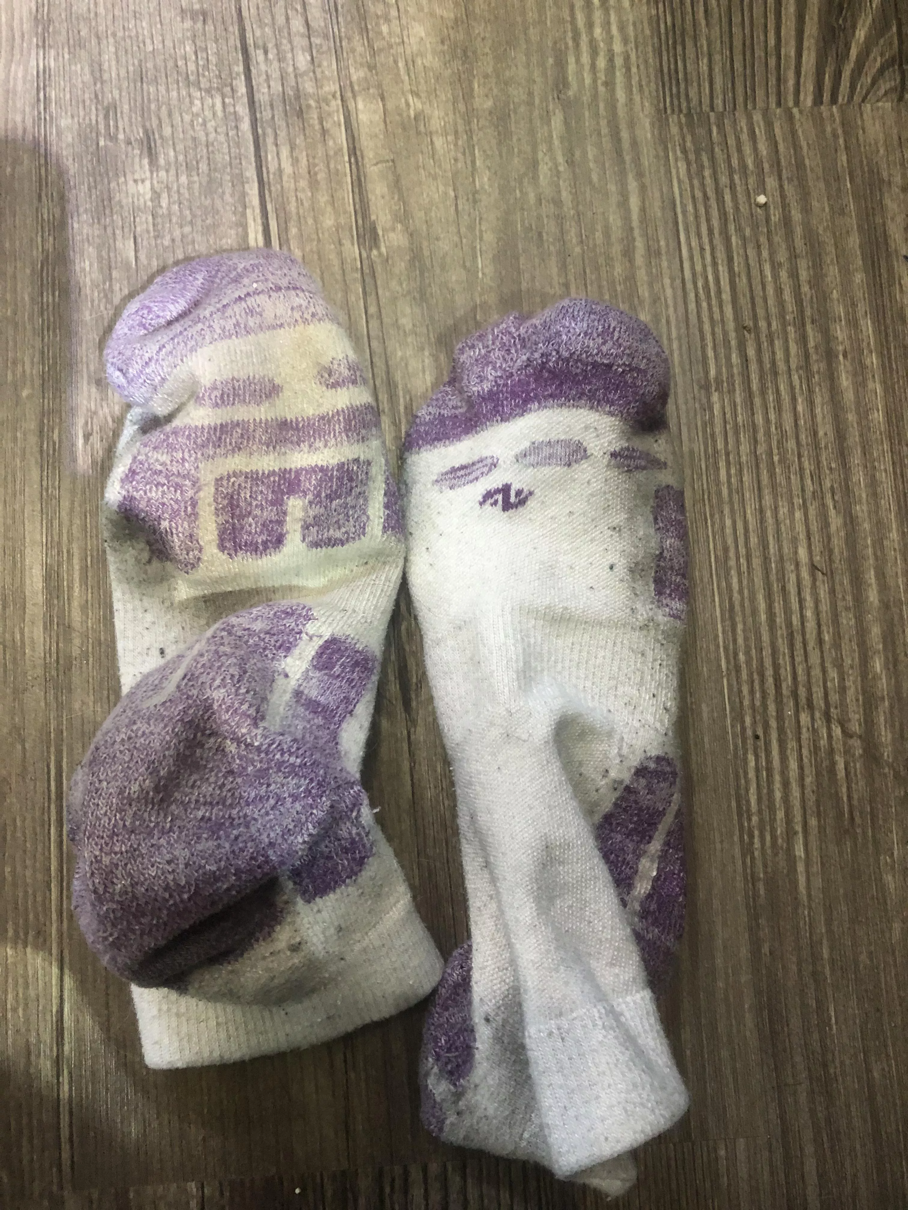 [selling] [canada] anyone interested in these socks I wore for 4 days in my work boots! They are stinking up my room so I moved them into the basement. $50 and I’ll wear them one more day free.