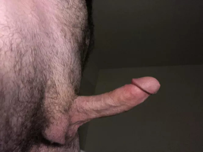Thoughts on my Cock?