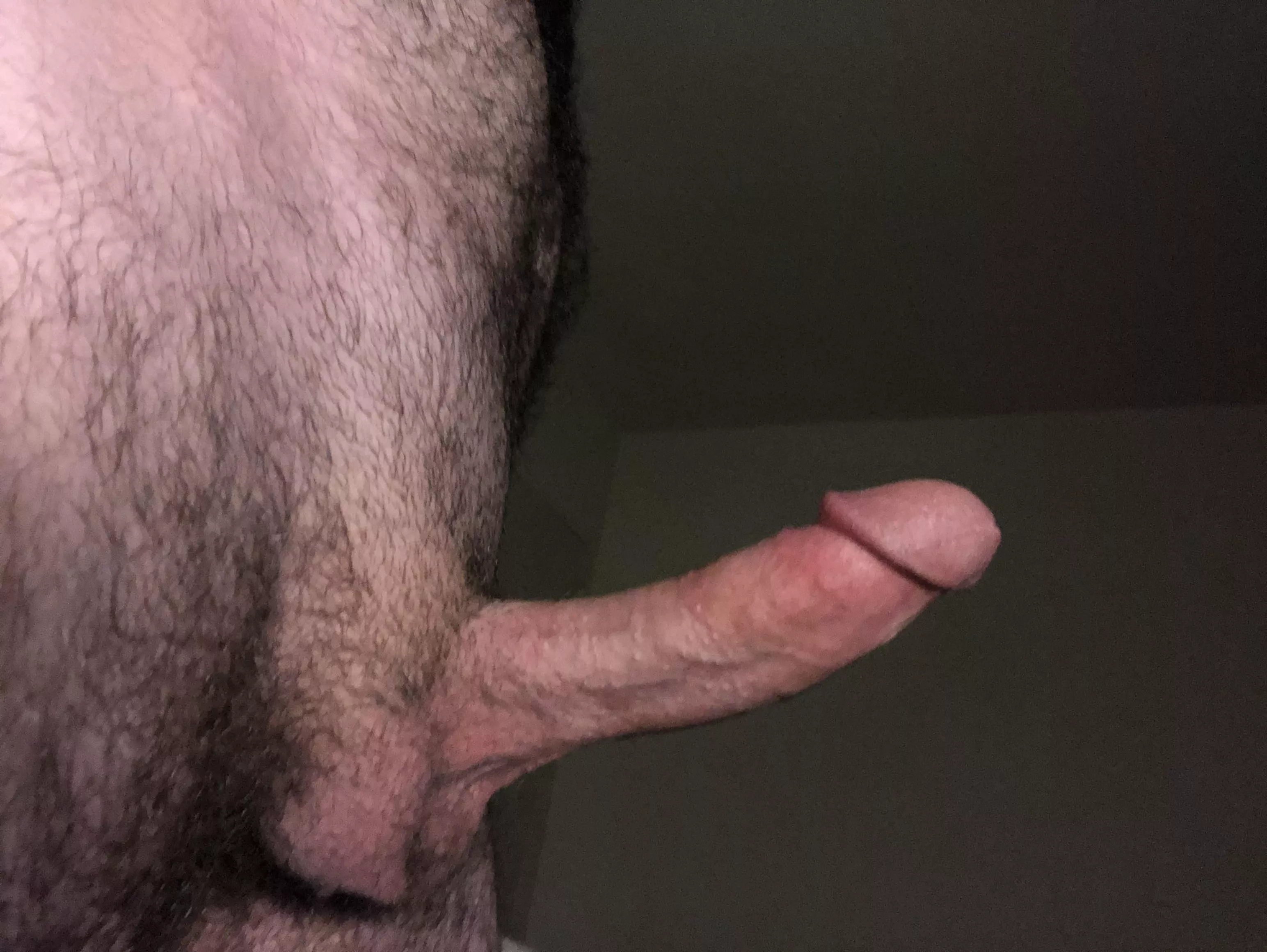 Thoughts on my Cock?
