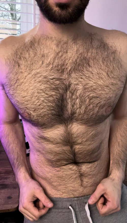 Tuesday chest hair for you.