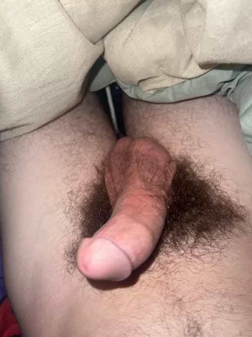 What do you’s think?