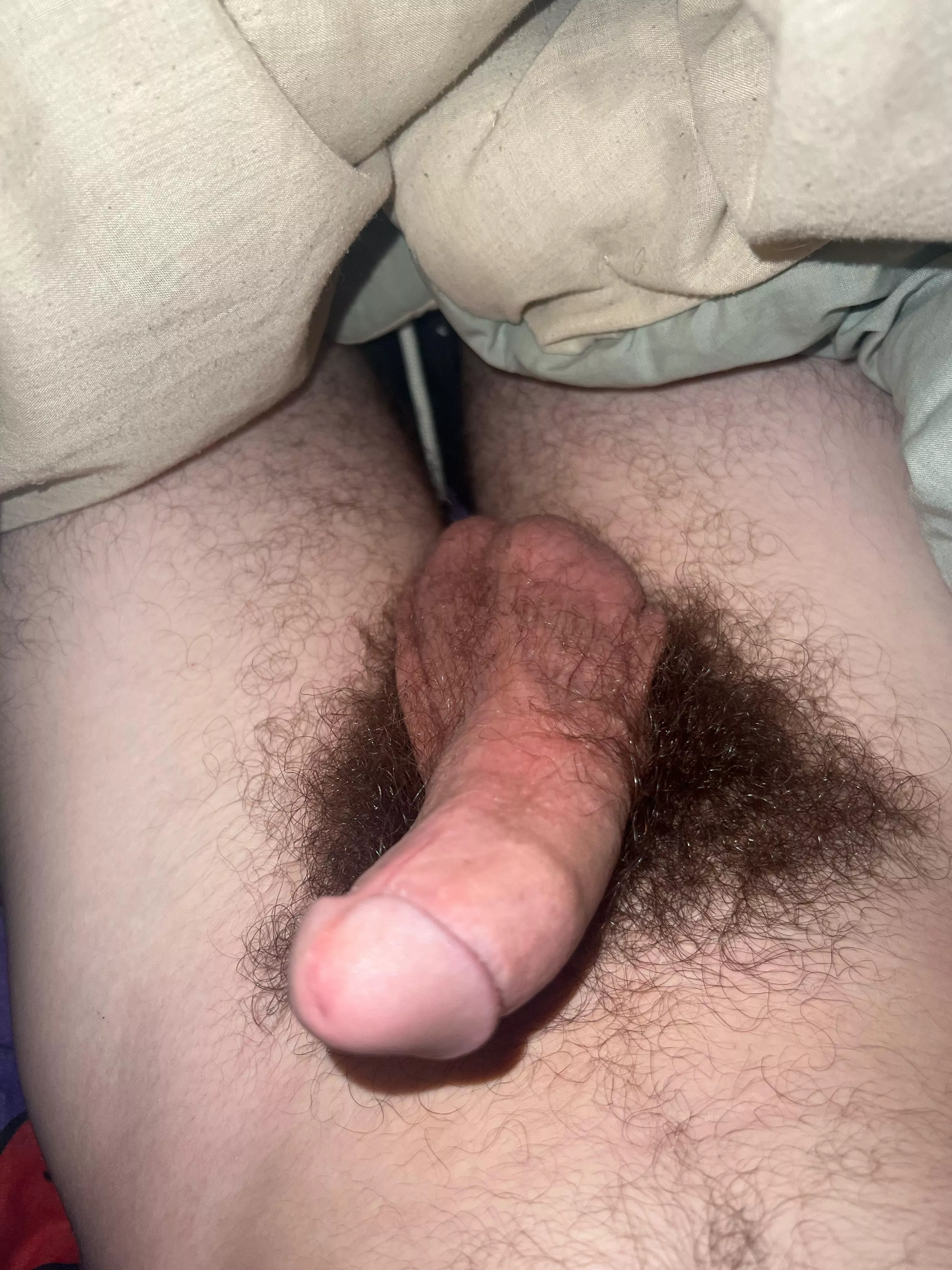 What do you’s think?