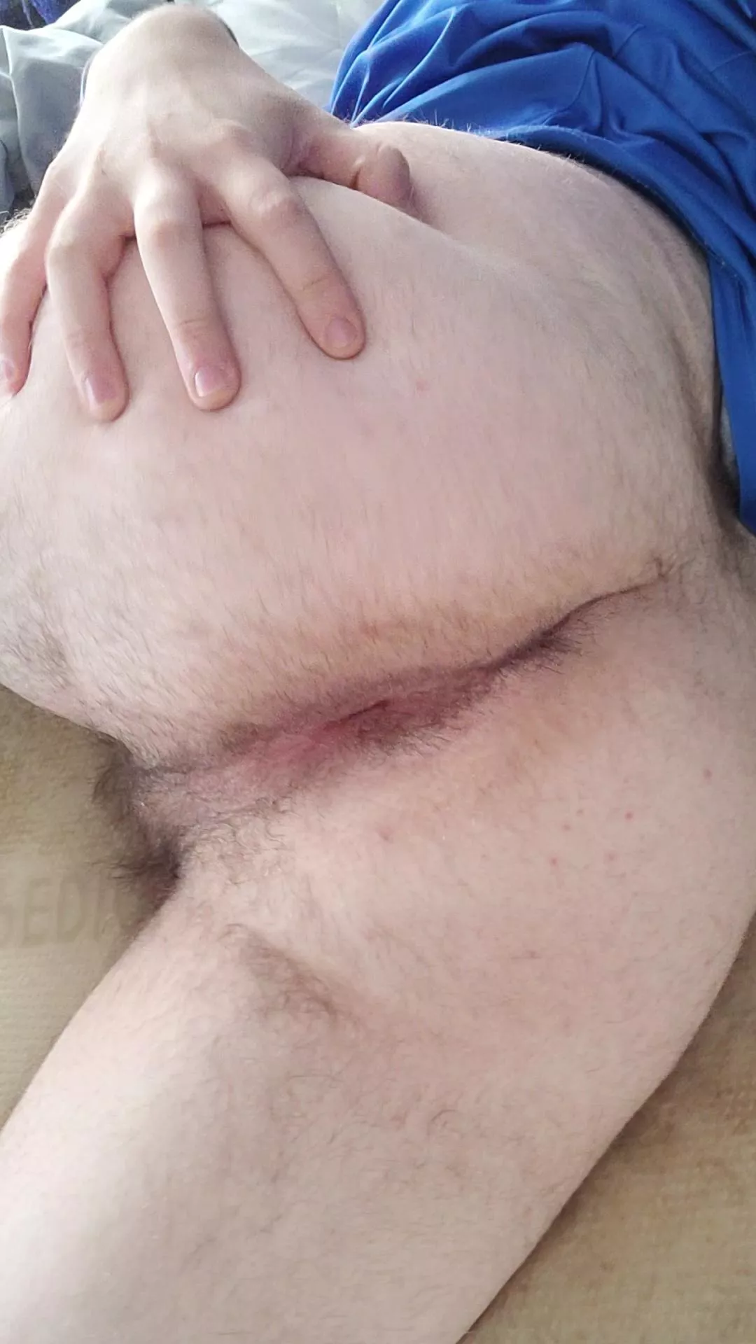 Would you fuck my ass