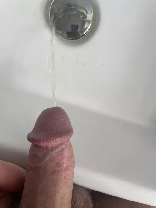 40 M BI UK ( English piss ) Sink Pee