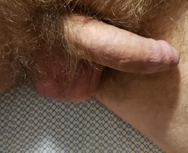 [51] Can any ladies out there help a Daddy out?