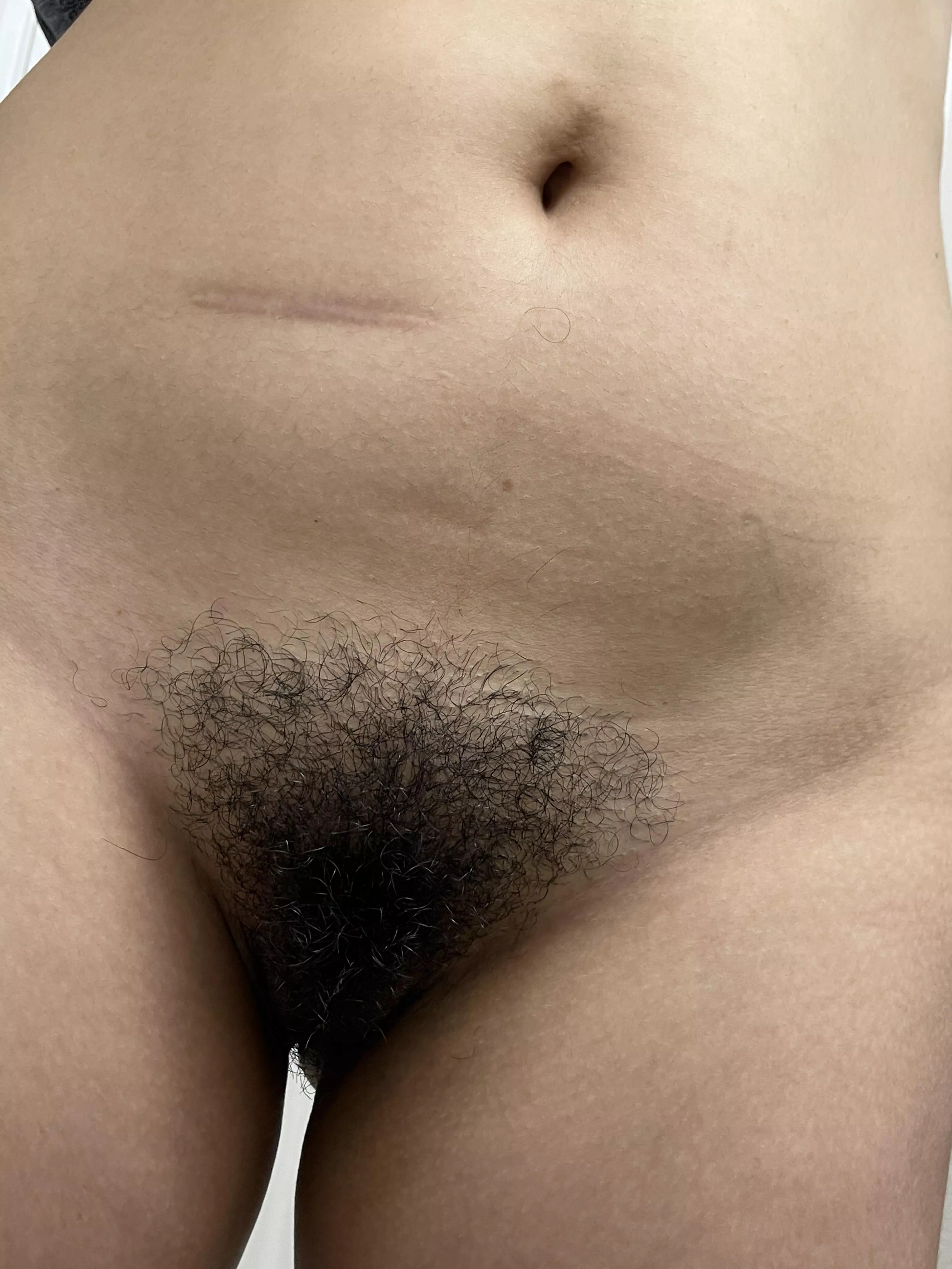 Come explore this dark bush