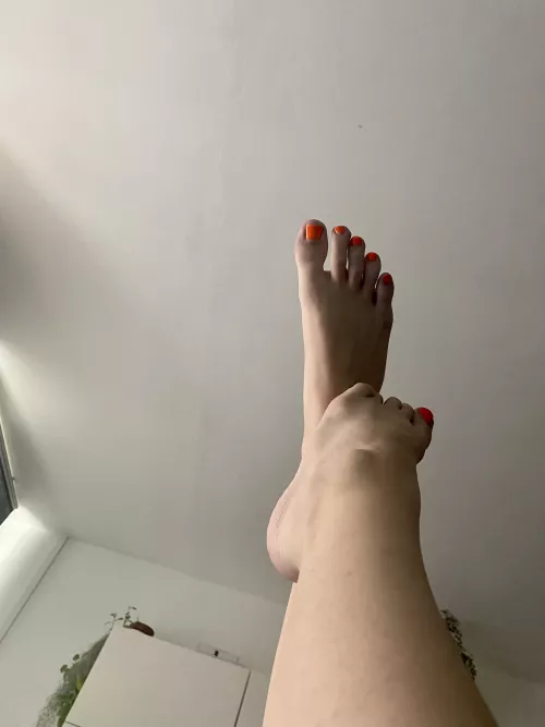 Do you wanna cum on my feet or my ass?