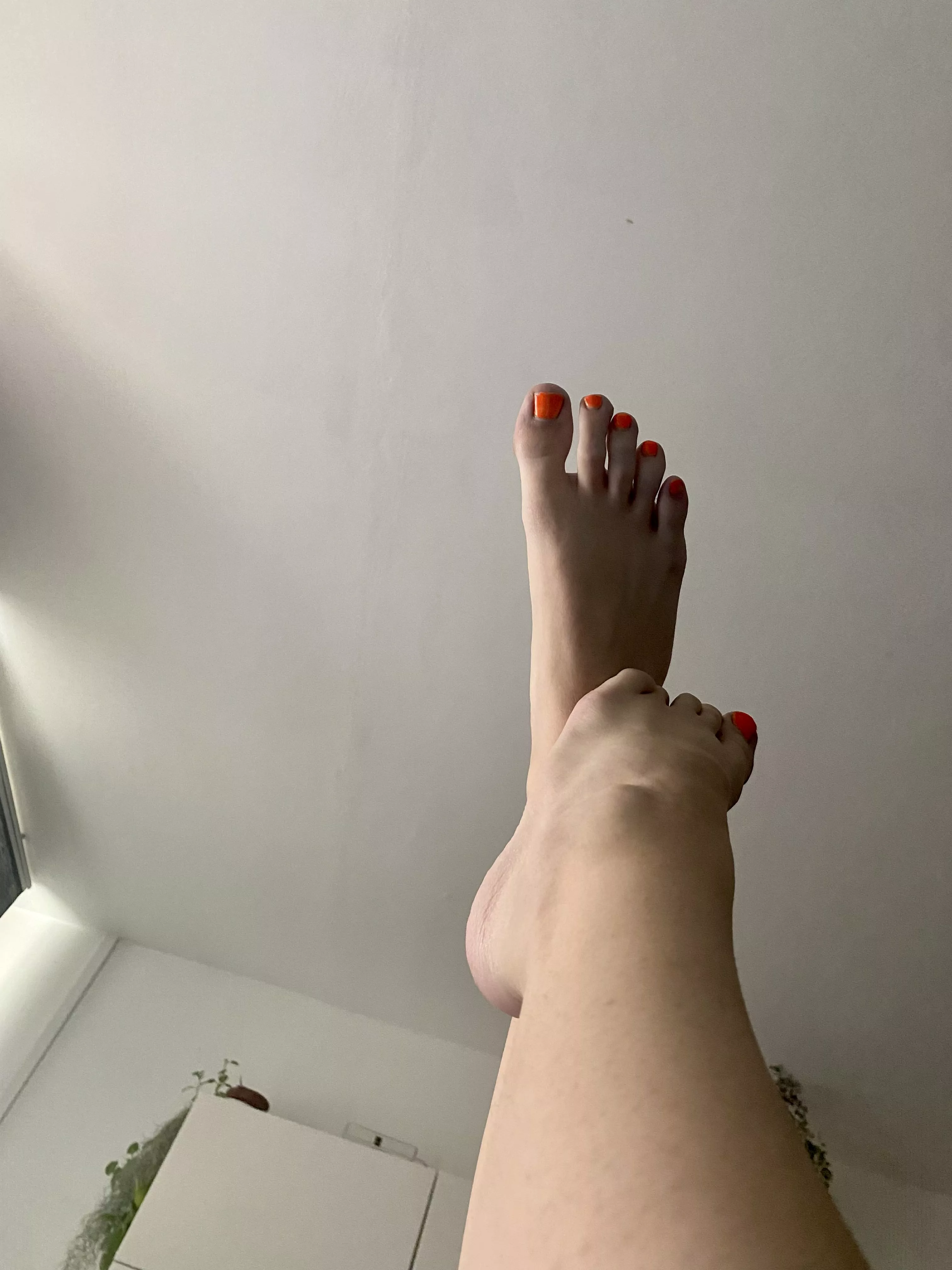 Do you wanna cum on my feet or my ass?