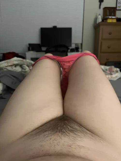Should I spread this hairy pussy open for you?