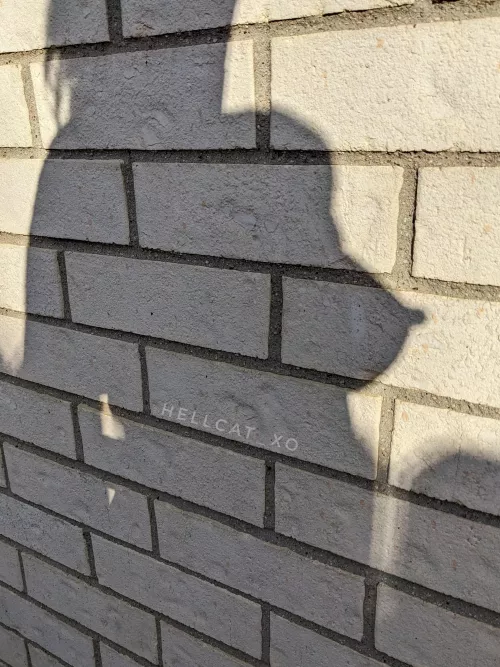 the sun discovered my erasers