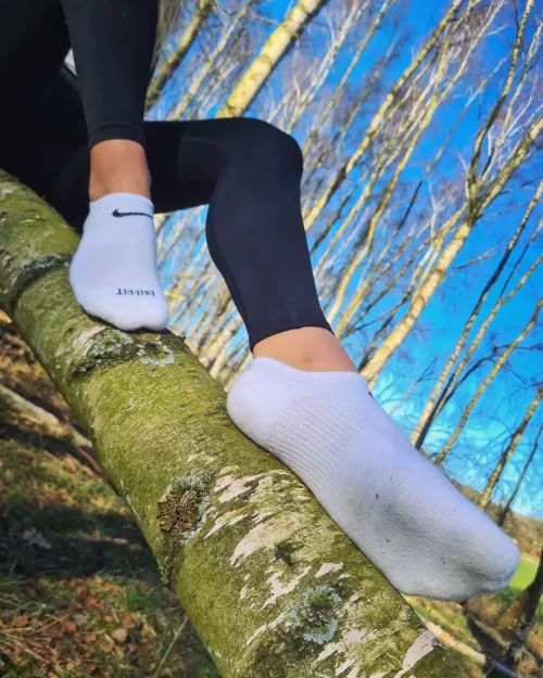 what would you do with my socks?