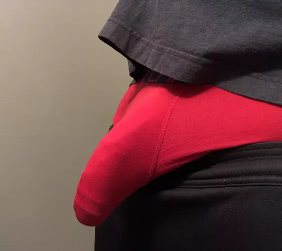 wood you rather suck or fuck?