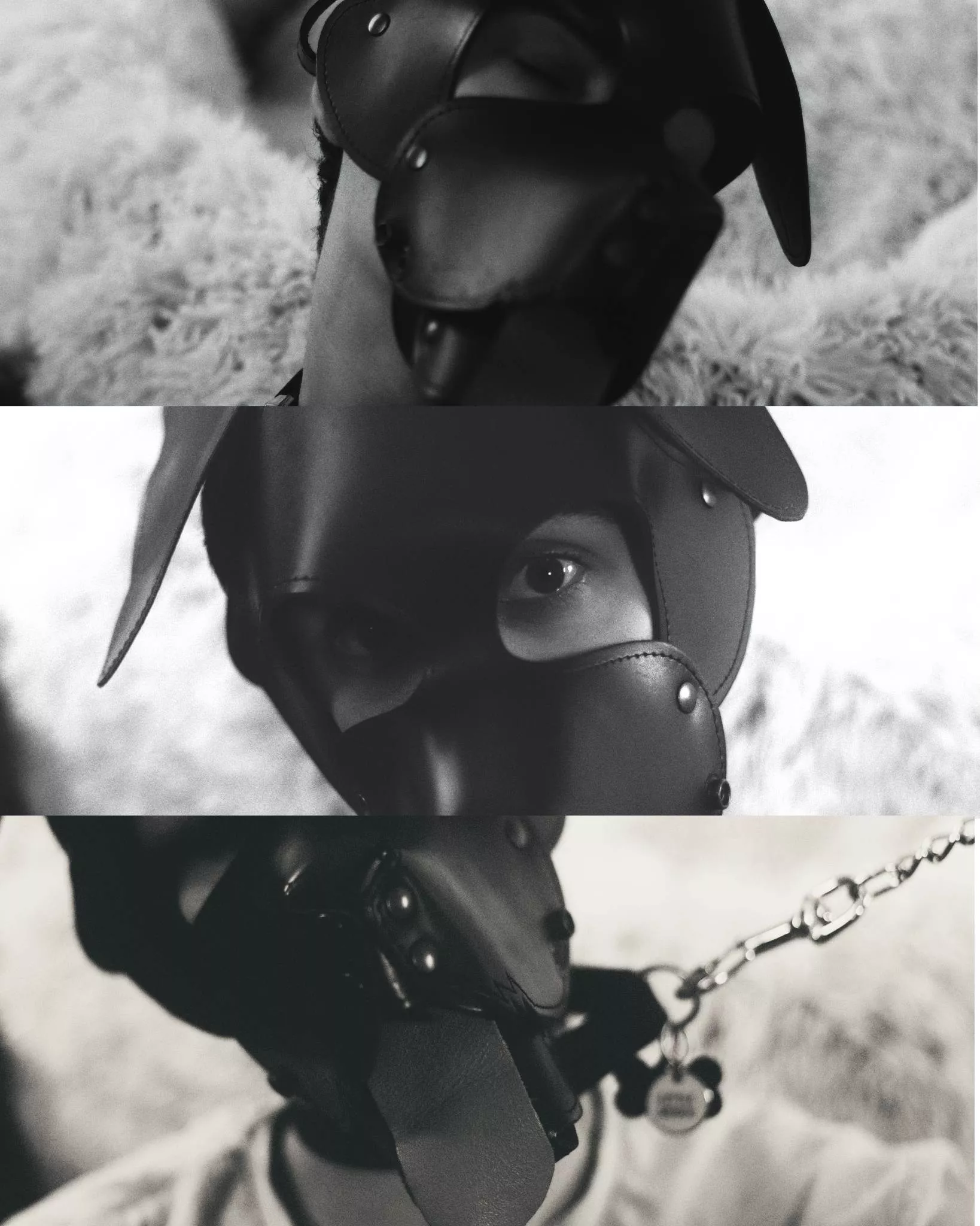 A leashed photography pup hehe