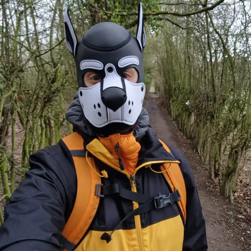 Adventure pup goes adventuring!