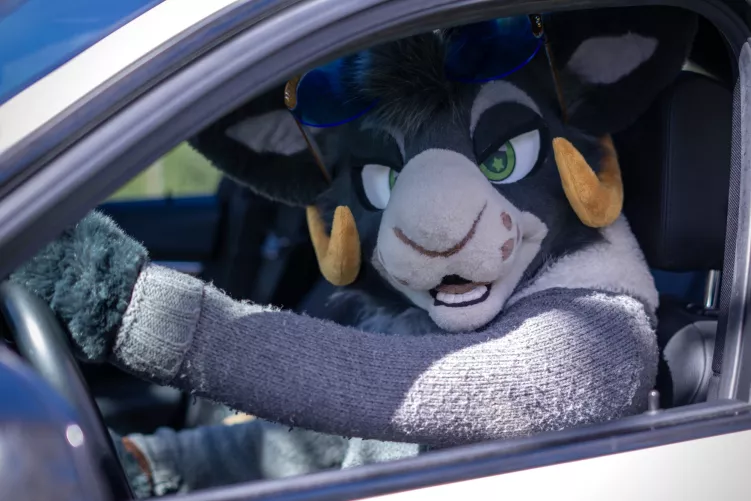 behind the wheel 📸