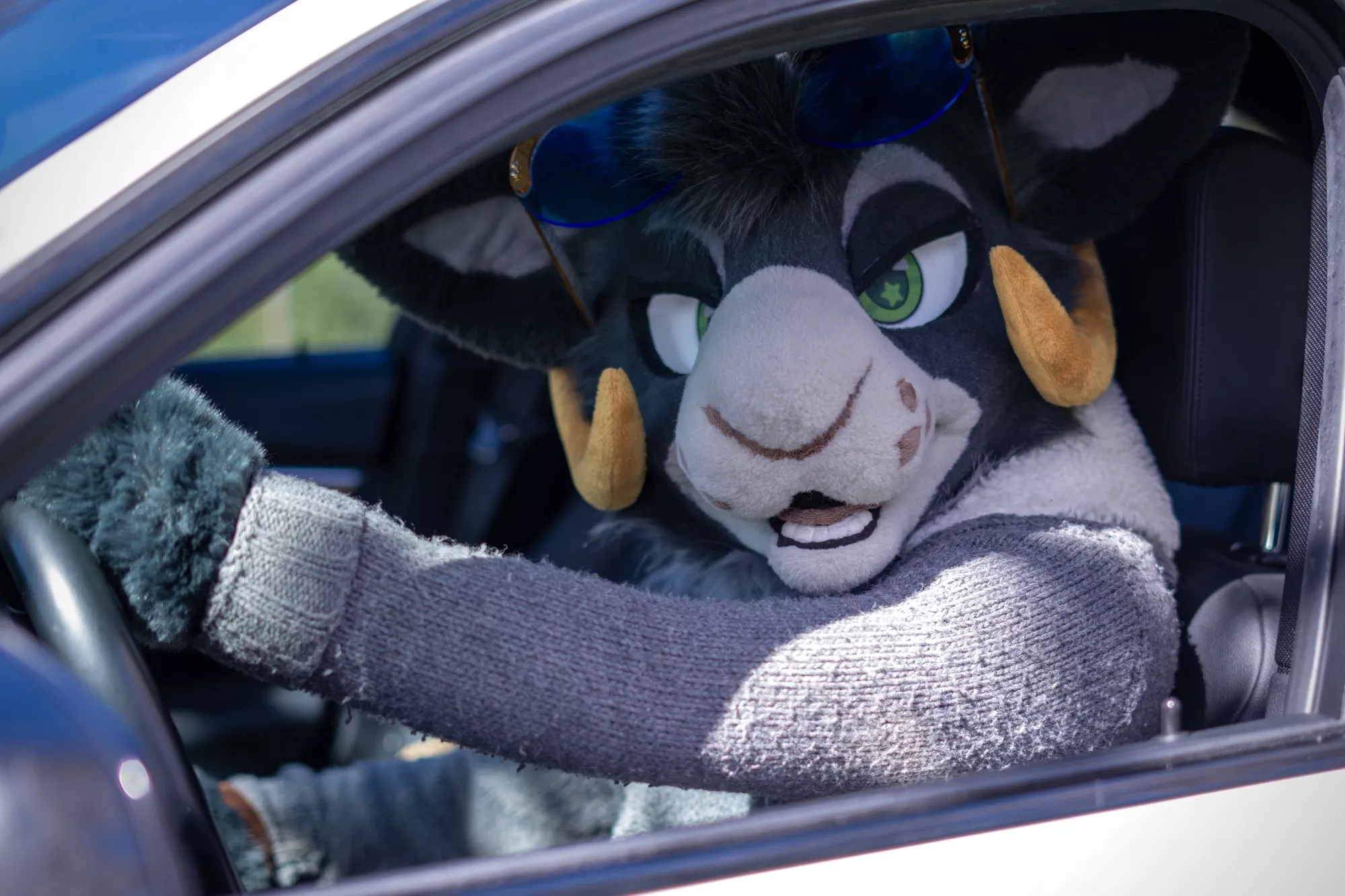 behind the wheel 📸