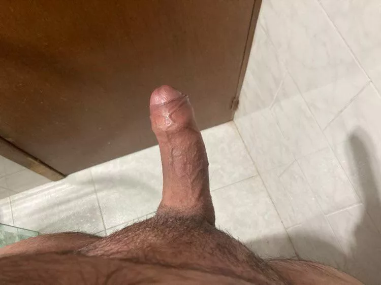 Is my bicurious dick good?