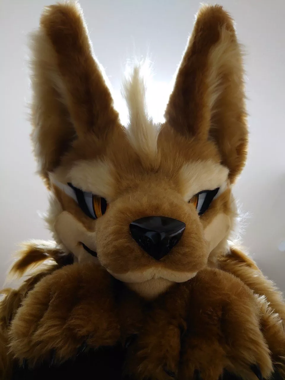 The snoot of @ten_bite on Twitter