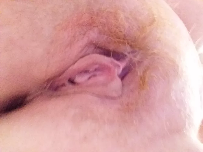 Was ordered to post this. This is a controlled cunt. No touch all day, right before edging tasks.