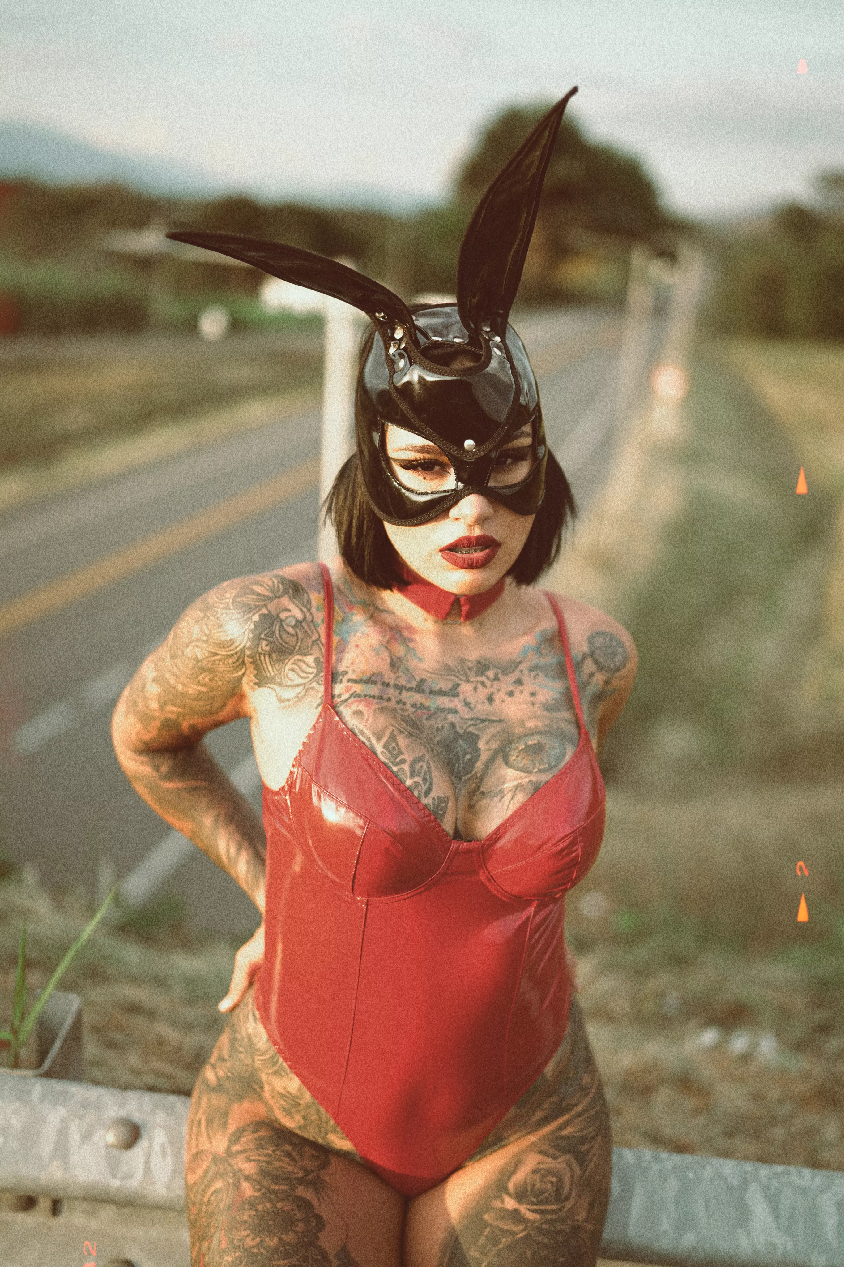 Would you smash a bunny latina in public?