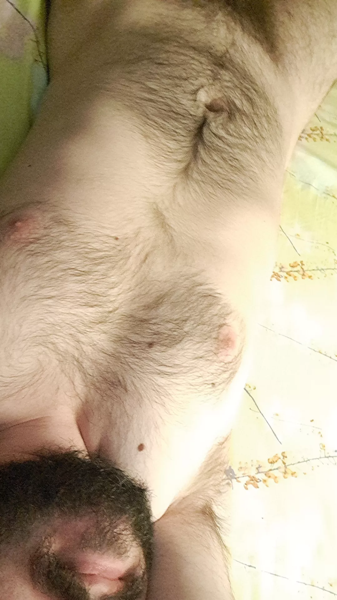 27 y.o. Greek otter procrastinating in bed. Come keep me company in my PMs if you'd like!