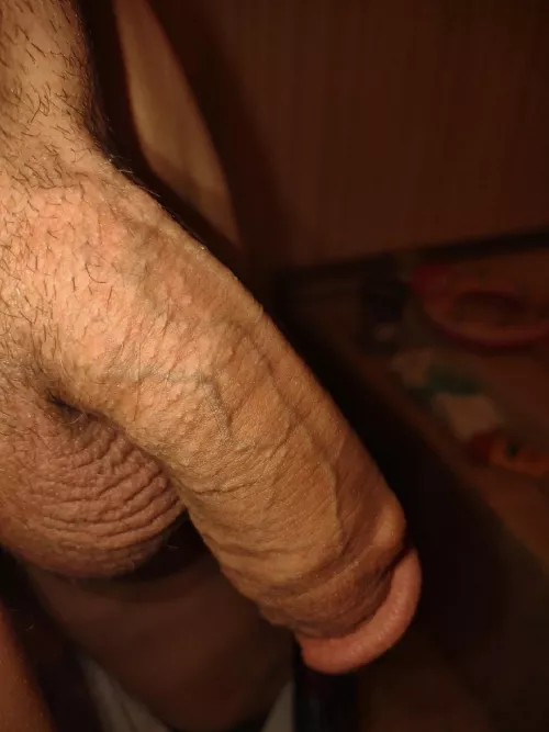 (43) year old sex shop owner. Check out my content!