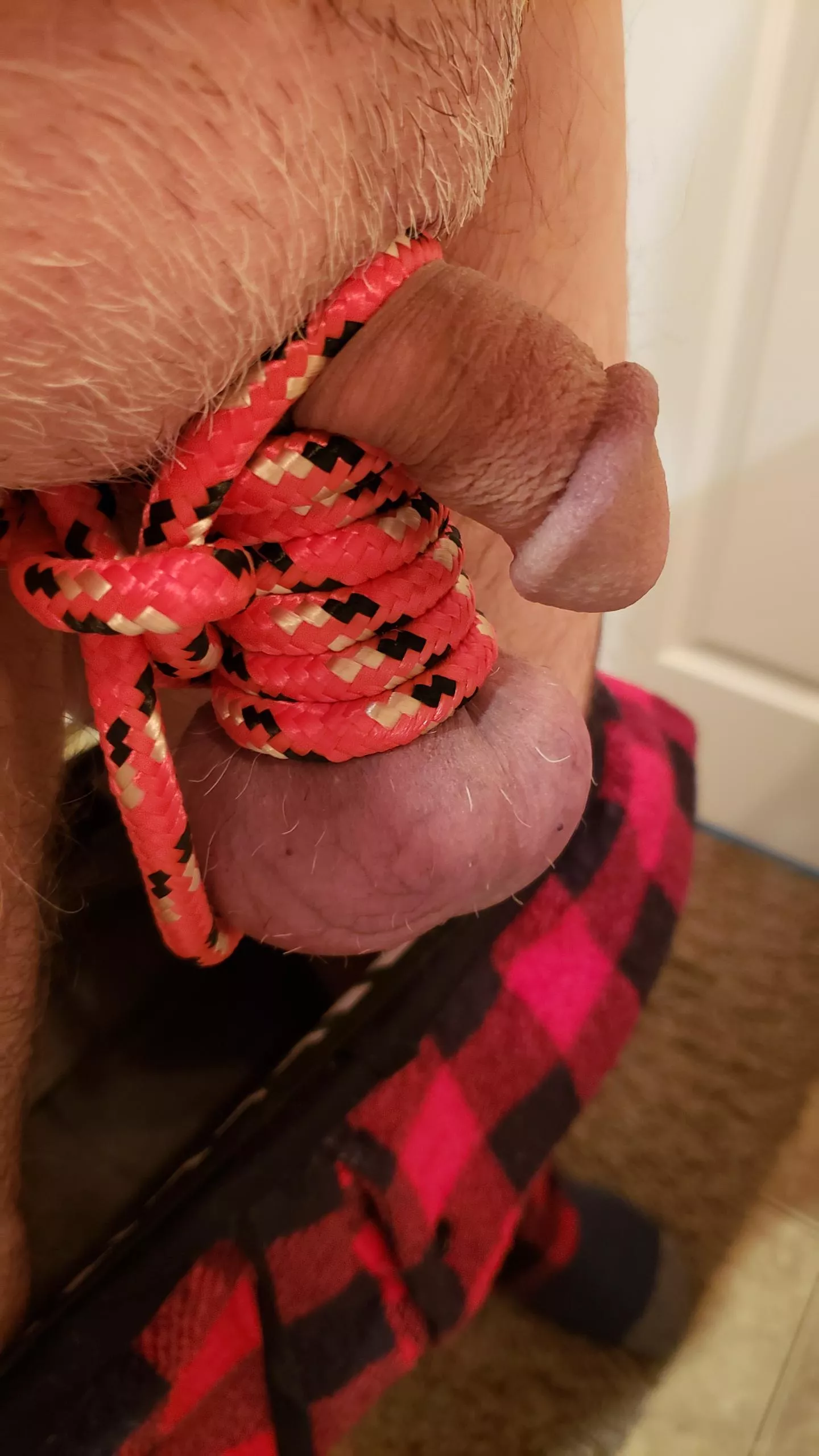 (55) So sensitive when stretched and bound.