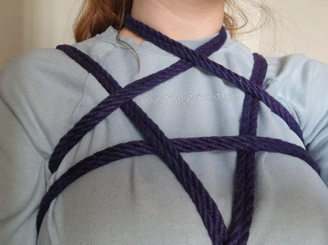 A simple chest harness