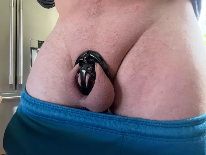 Day 9 with no future of getting out 🥰 wife has been torturing the shit out of me too 🥵