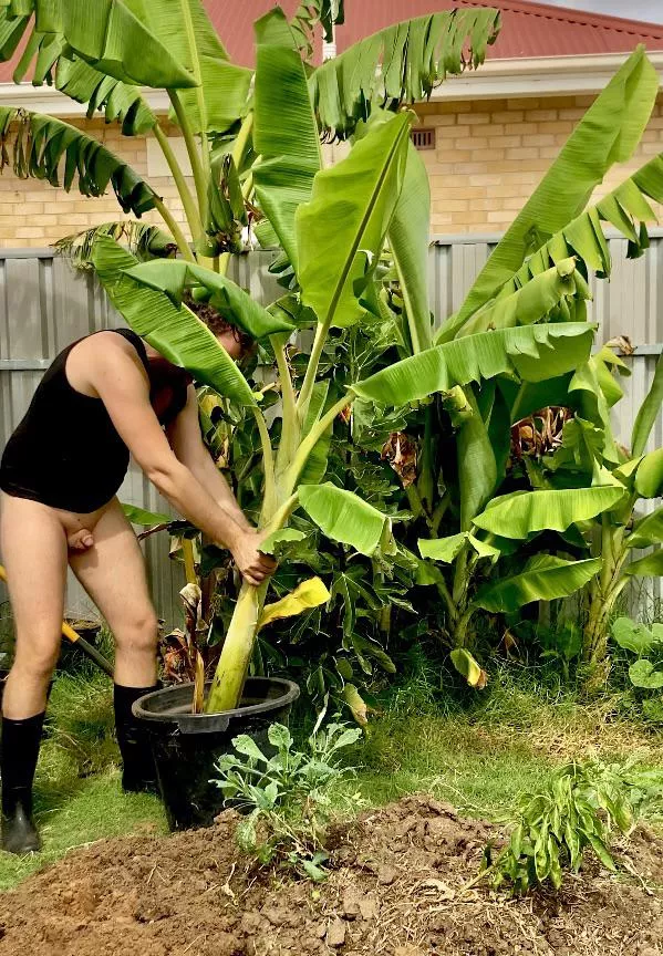 Doing some gardening