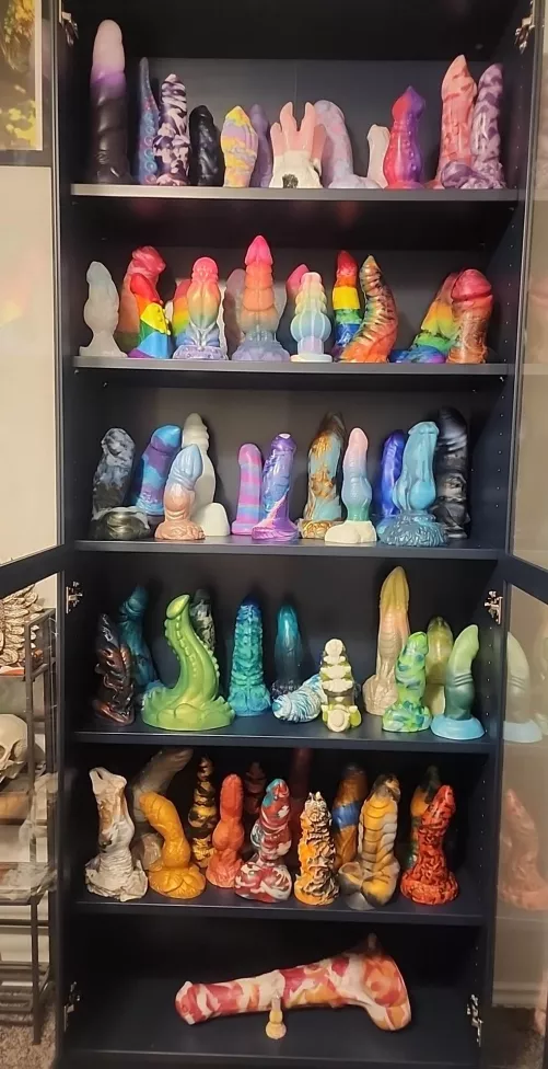 Finished the New Dick Shelves!