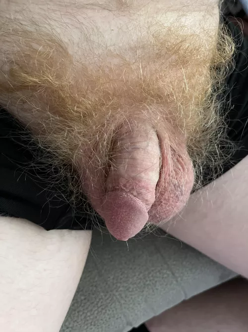 Fire bush still growing!