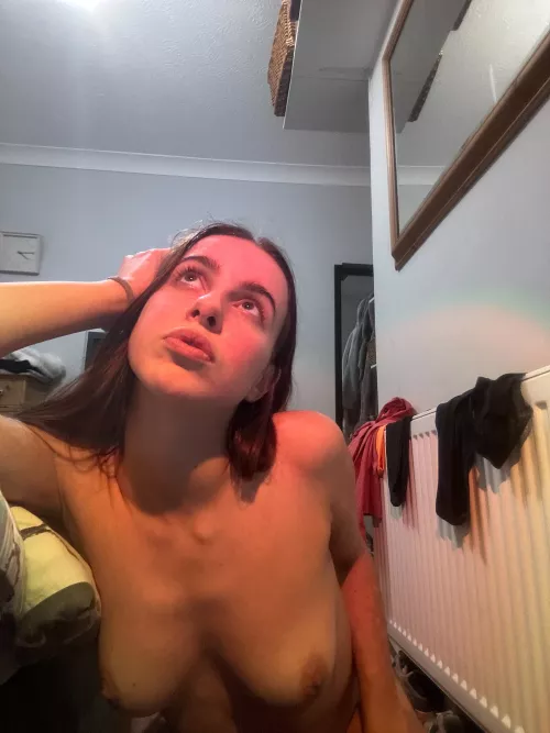 For my late night Reddit followers