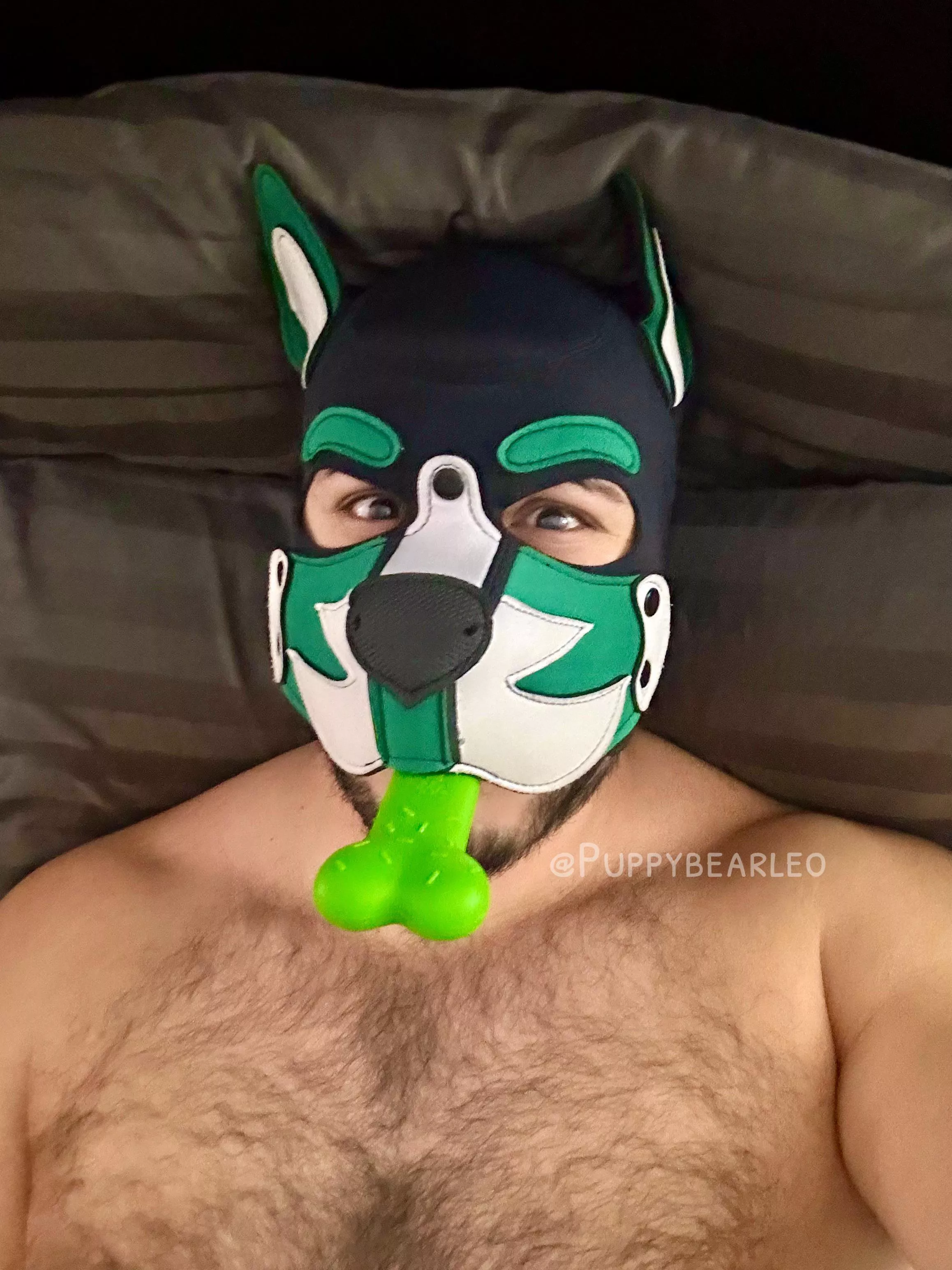 Got a bone to pick with you