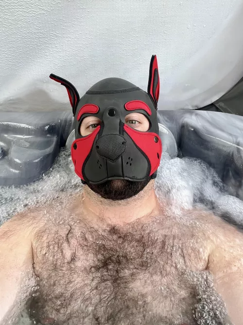 Hot tub pup