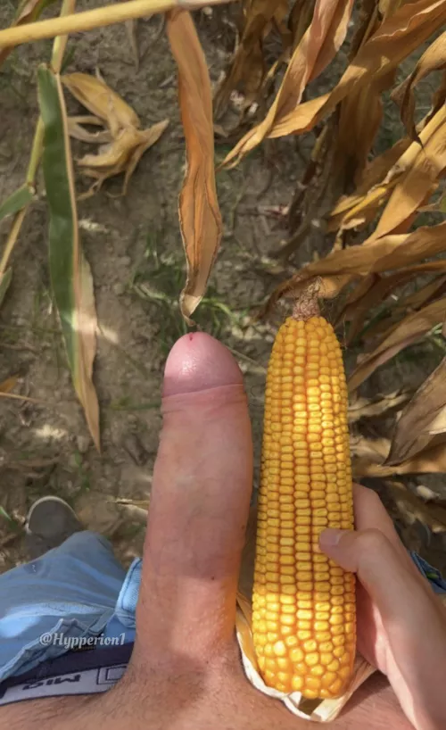 I forgot I also had this comparison