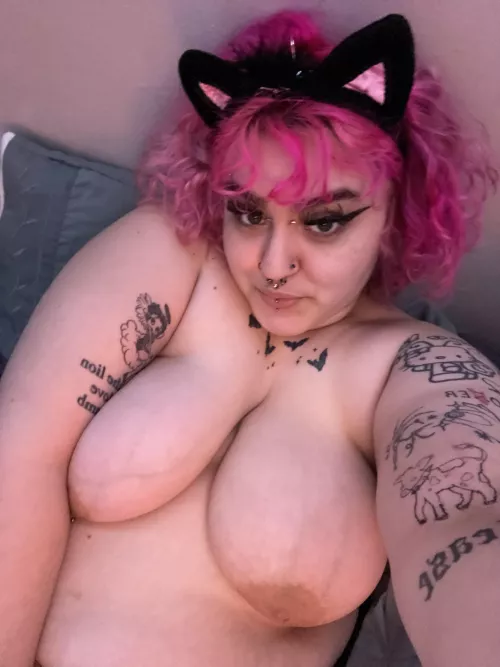 i’m a bad kitty 🐱