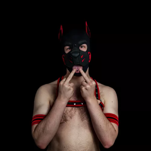 Just wanted to post one if my favorite pictures of me. 🐶