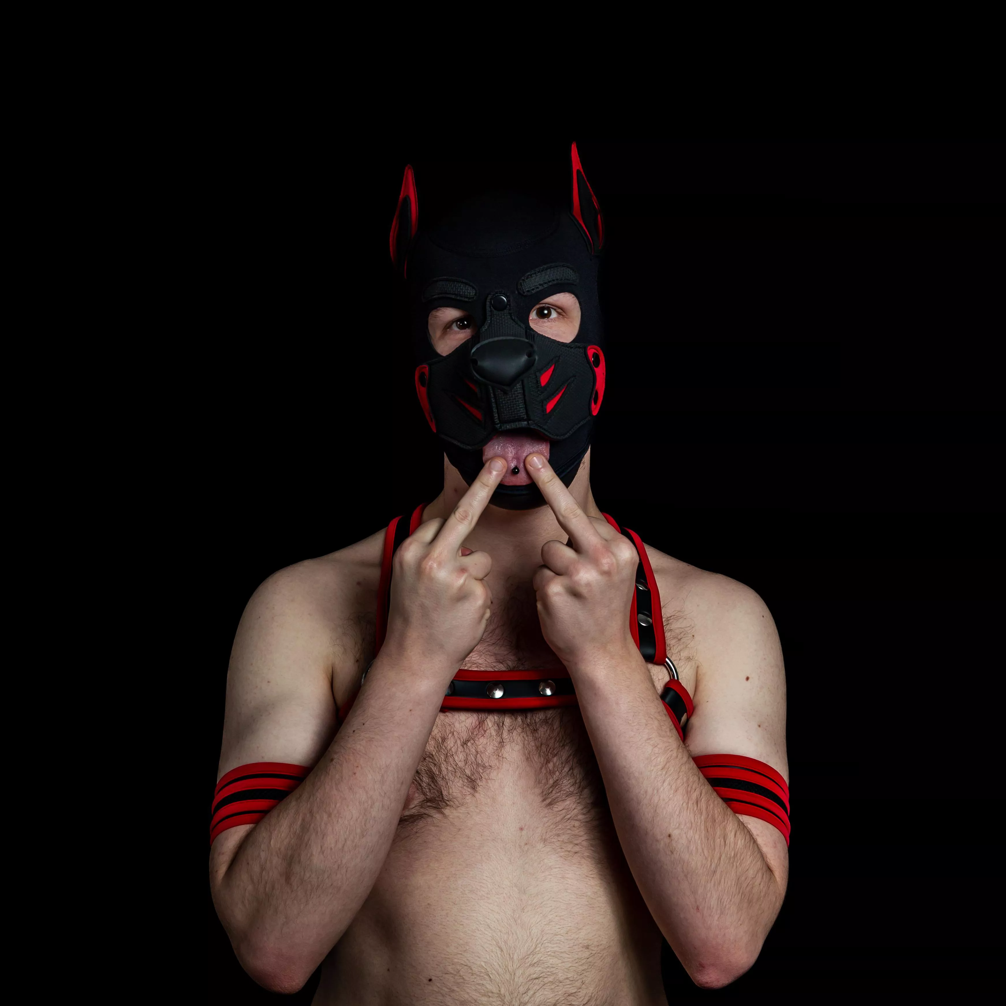 Just wanted to post one if my favorite pictures of me. 🐶